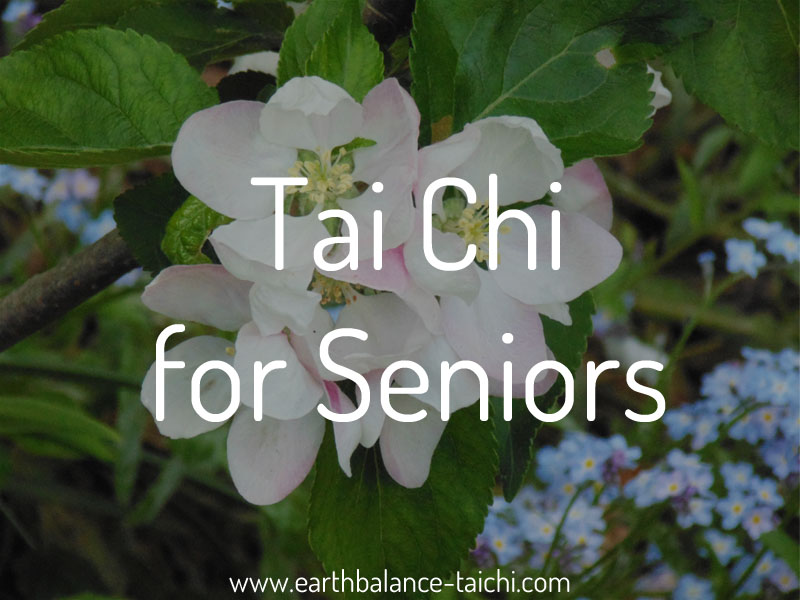 Tai Chi for Senior Citizens