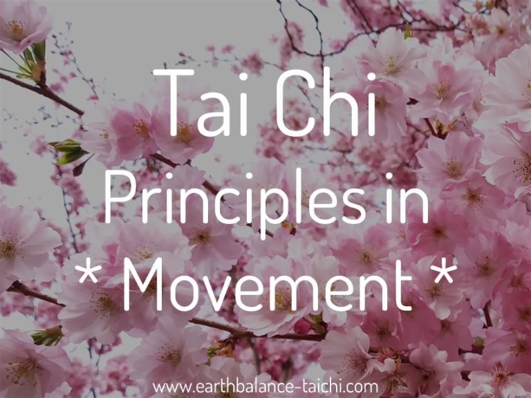 Tai Chi Movement Principles