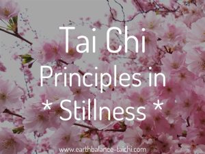 Tai Chi Stillness Principles
