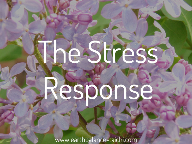 The Stress Response