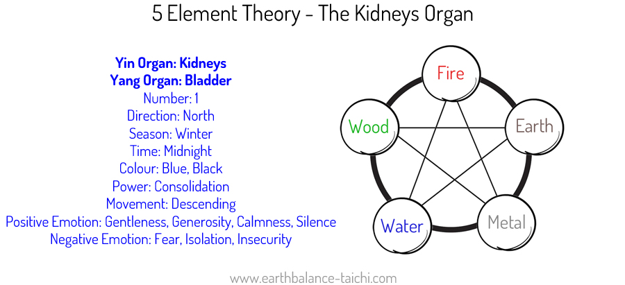 5 Elements The Kidney Organ