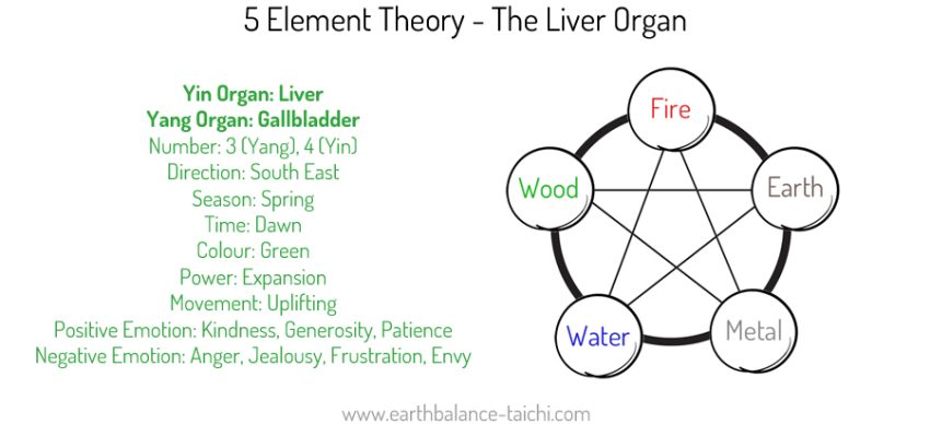 5 Elements The Liver Organ