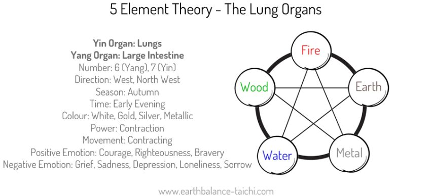 5 Elements The Lung Organs
