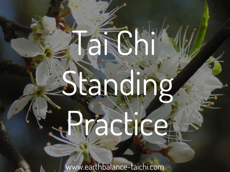 Tai Chi Standing Practice