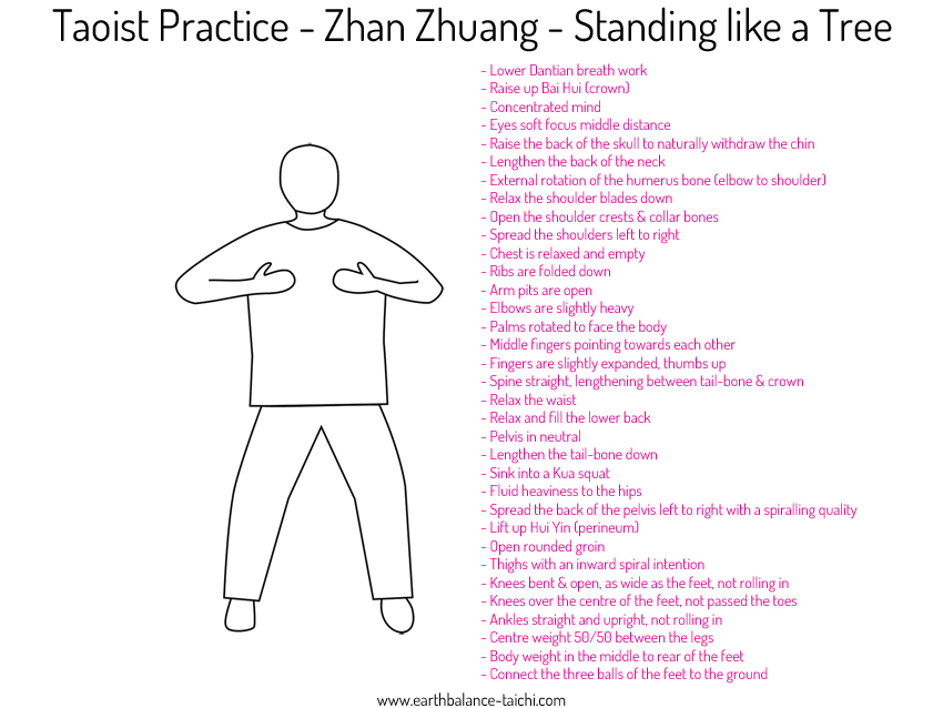 Taoist Practice Standing like a Tree