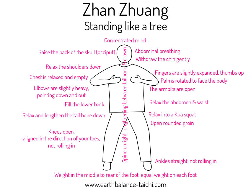 Zhan Zhuang Standing like a Tree