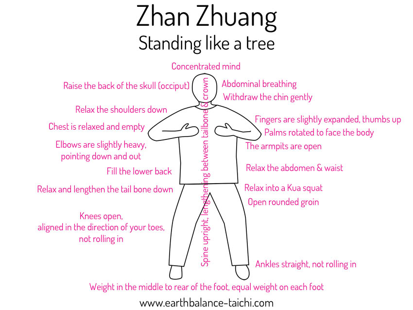 Tai Chi Standing Zhan Zhuang Earth Balance Tai Chi