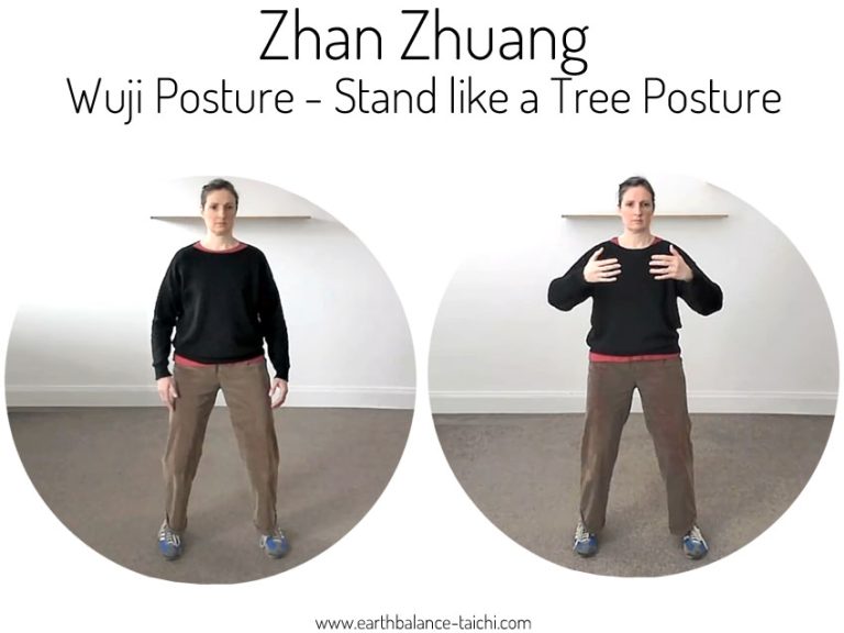 Zhan Zhuang Training Course