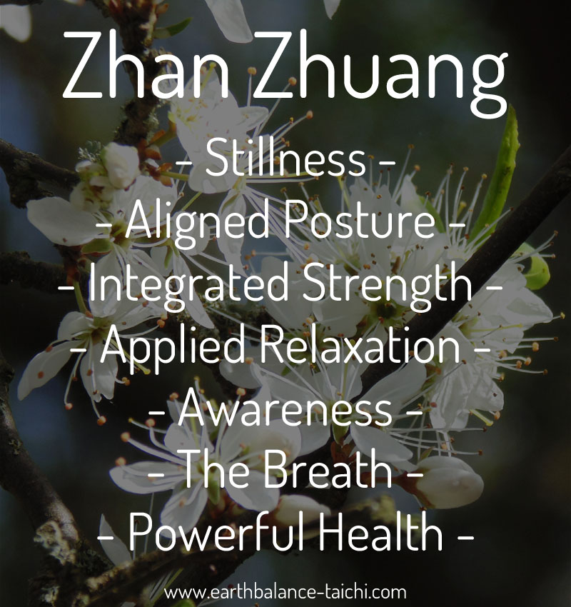 Tai Chi Standing - Zhan Zhuang | Earth Balance