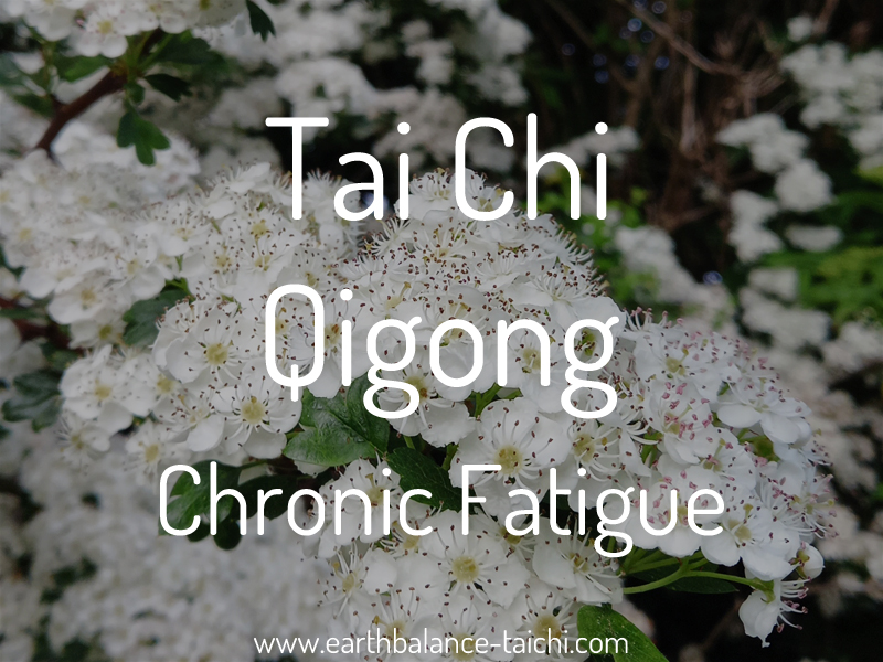 Tai Chi Qigong for Chronic Fatigue