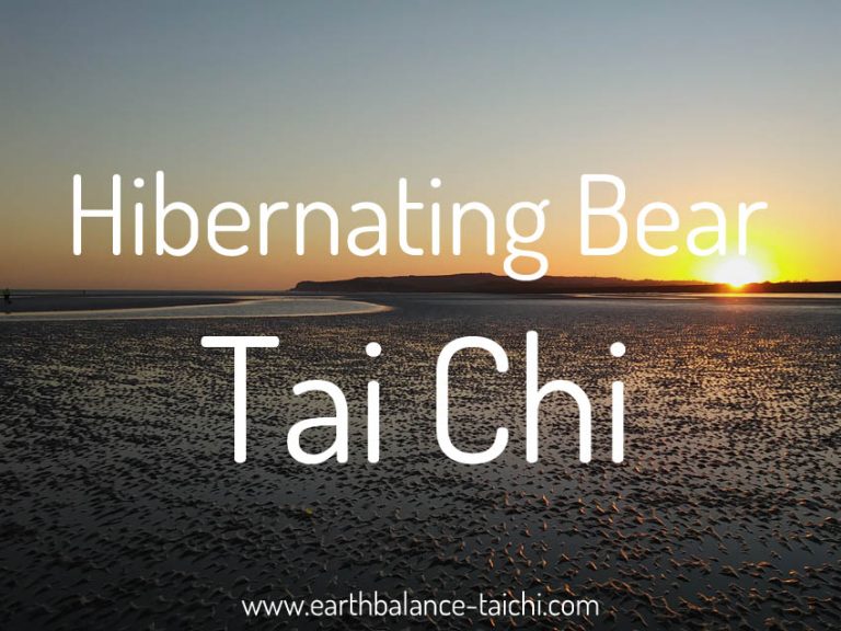Hibernating Bear Tai Chi