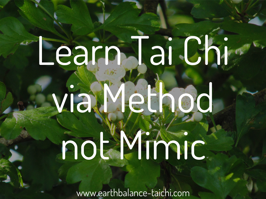 Tai Chi via Method not Mimic