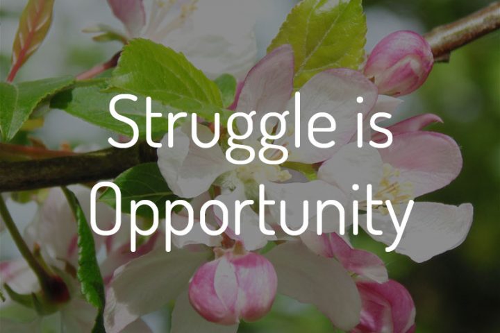 Struggle is Opportunity