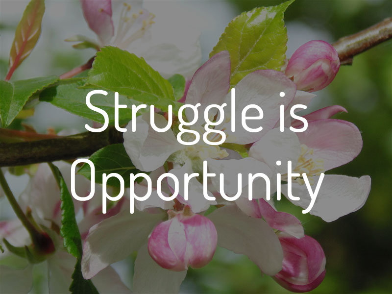 Struggle is Opportunity