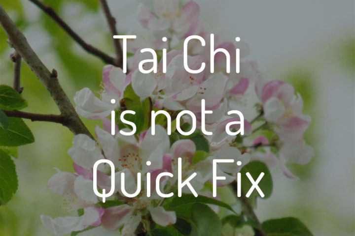 Tai Chi is not a Quick Fix