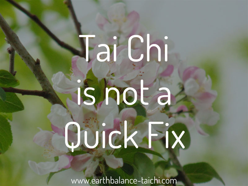 Tai Chi is not a Quick Fix