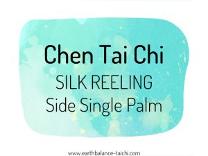 Chen Tai Chi Silk Reeling Side Single