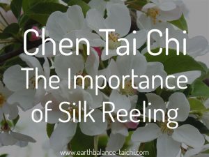 Importance of Tai Chi Silk Reeling