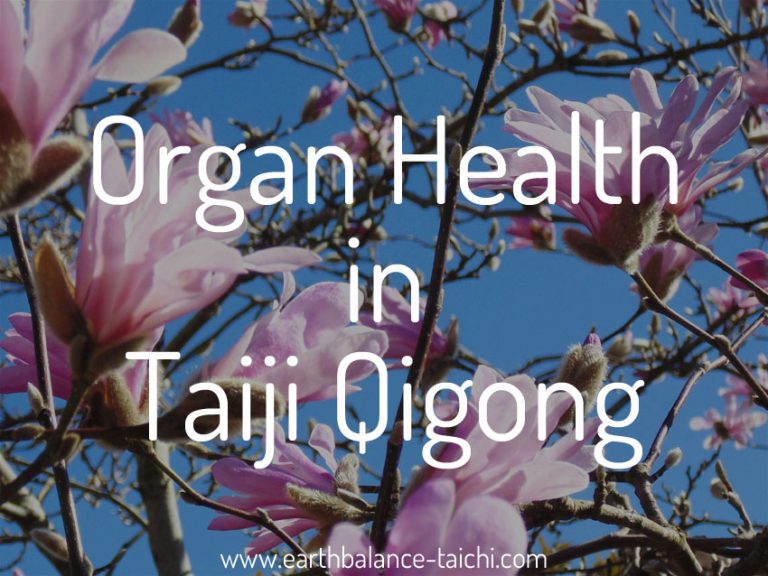 Organ Health in Taiji Qigong
