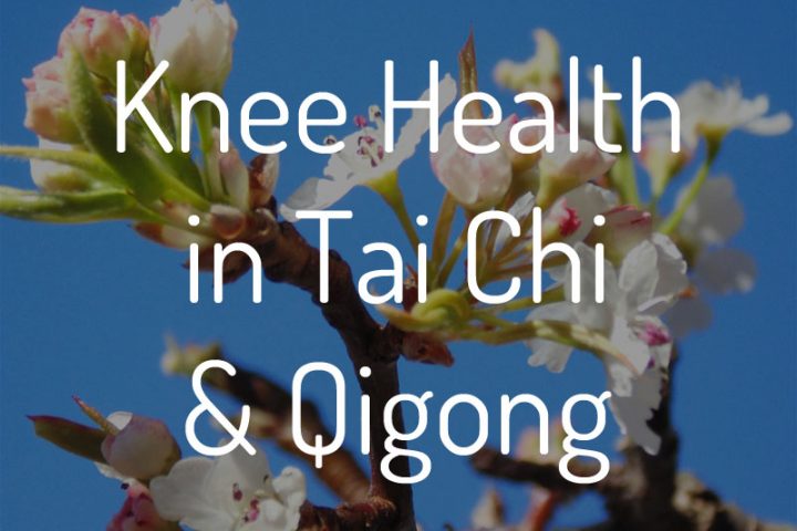 Knee Health in Tai Chi
