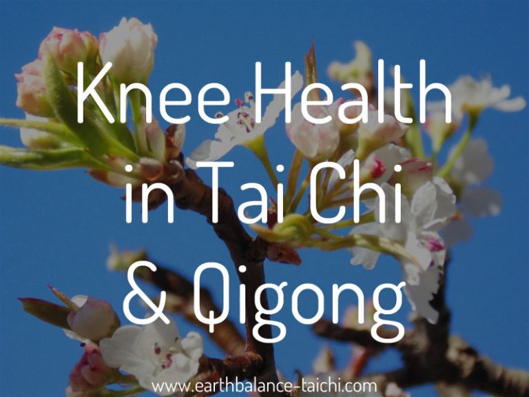 Knee Alignment Tai Chi