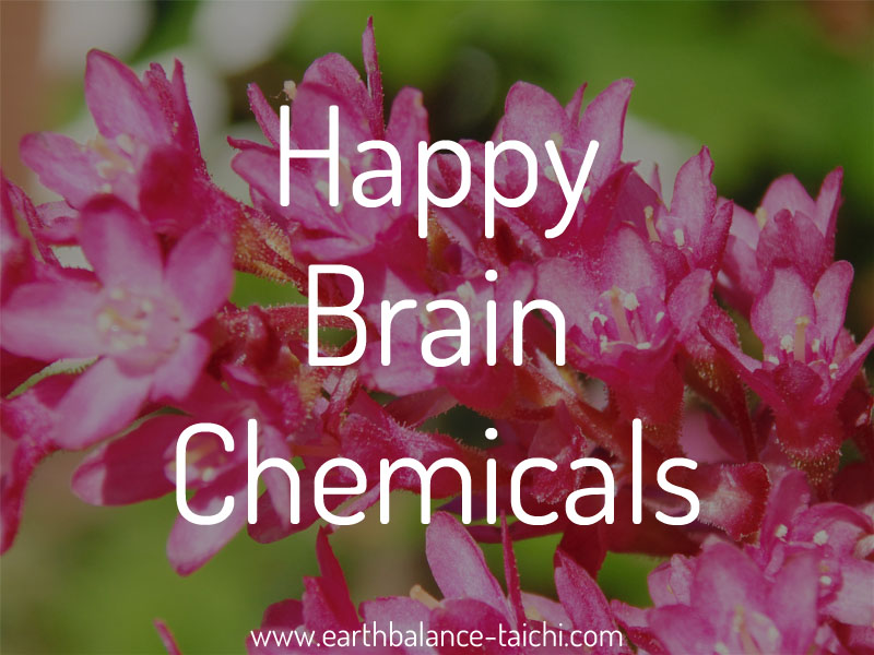 Happy Brain Chemicals