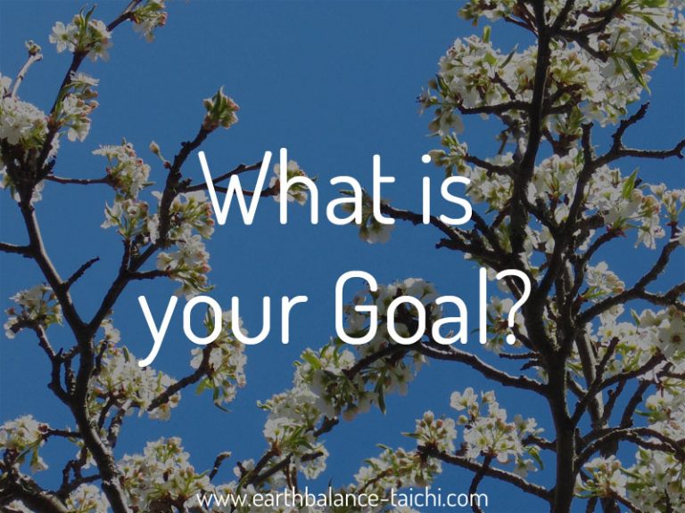 What is your Goal?