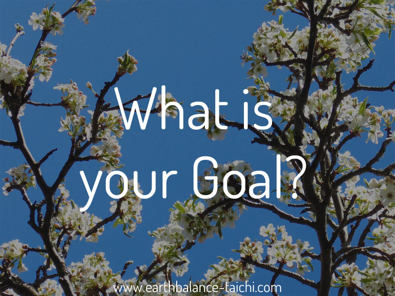 What is your Goal