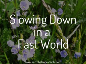 Slowing Down in a Fast World