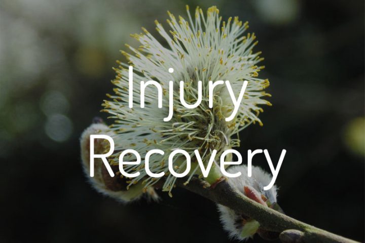 Injury Recovery Tai Chi Qigong