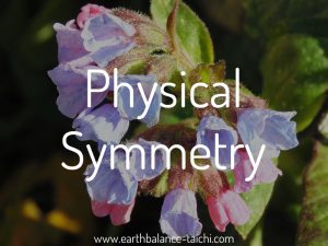 Physical Symmetry Tai Chi