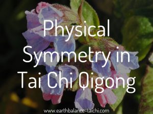 Tai Chi for Physical Symmetry