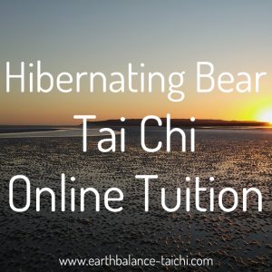 Hibernating Bear Tai Chi Online Tuition