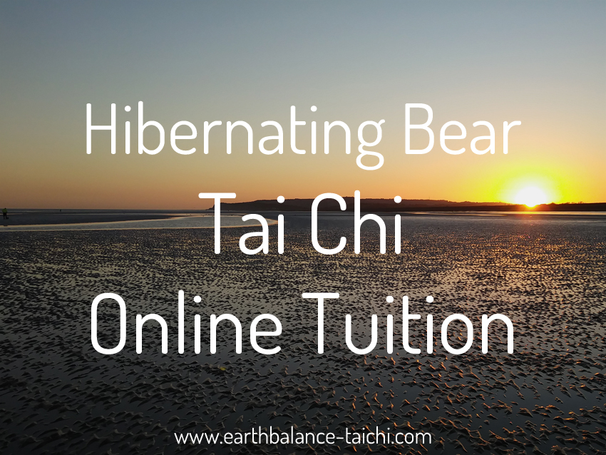 Hibernating Bear Tai Chi Online Tuition