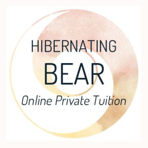 Hibernating Bear 121 on MsTeams