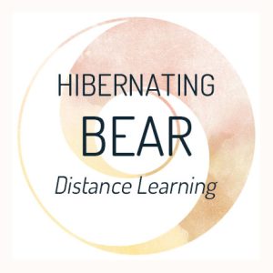 Hibernating Bear Home Study