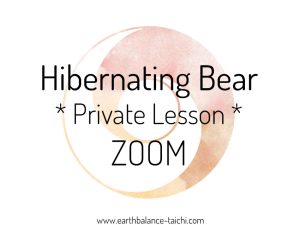 Hibernating Bear Private Lesson Zoom