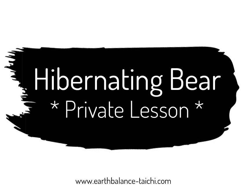 Hibernating Bear Private Lesson