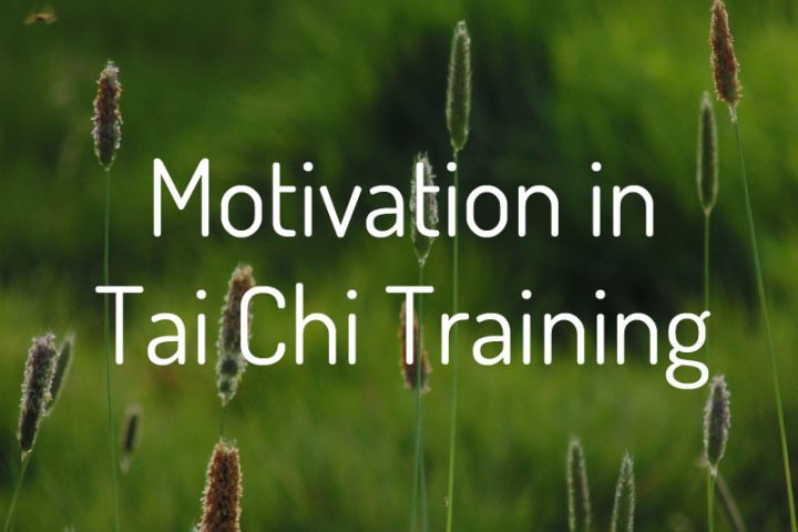Motivation in Tai Chi Training