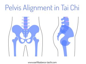 Pelvis and Hip Alignment in Tai Chi