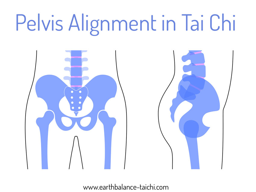 Pelvis and Hip Alignment in Tai Chi
