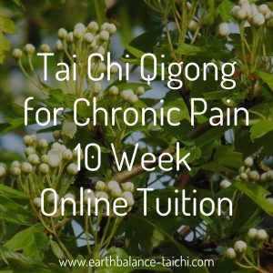 Chronic Pain Course