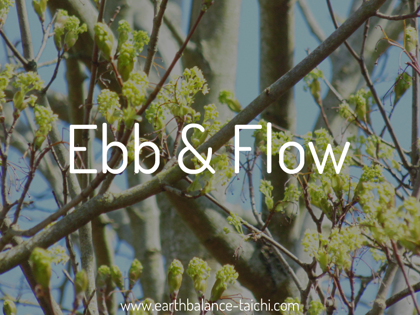 Ebb and Flow