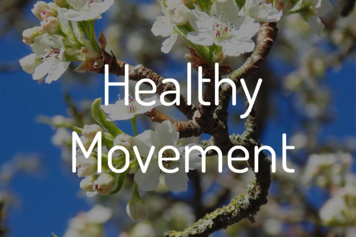 Tai Chi Healthy Movement