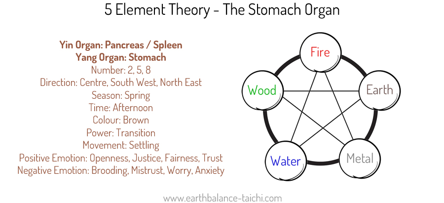 5 Elements The Stomach Organ