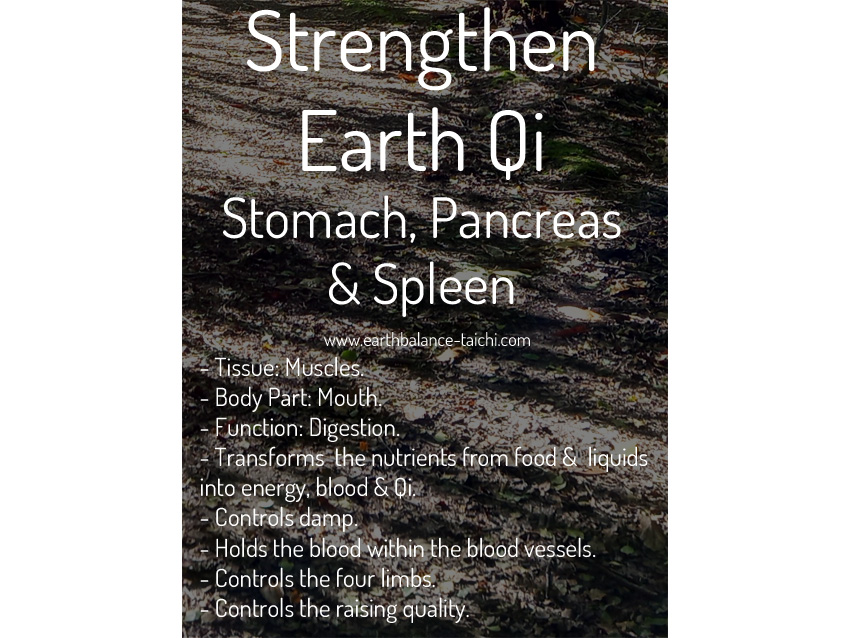 Earth Qi for the Stomach