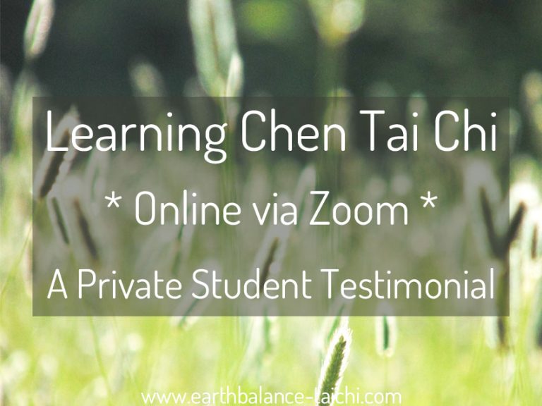 Online Tai Chi Review