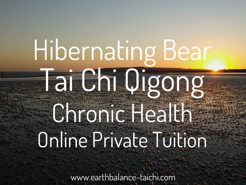 Hibernating Bear Chronic Health Online Tuition