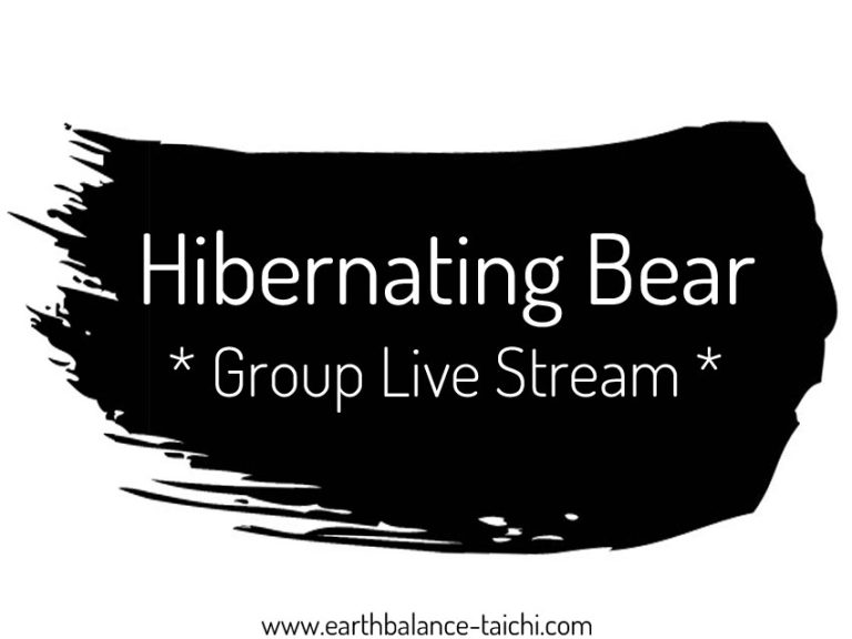 Hibernating Bear Group Class