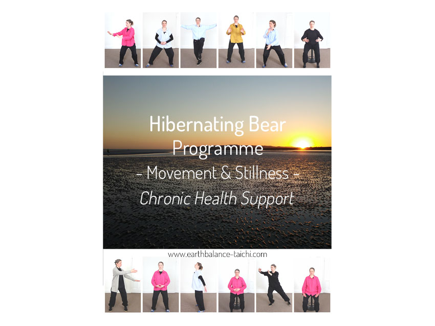 Hibernating Bear Supporting Chronic Illness